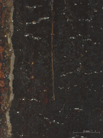 Jan van Eyck, 'Margaret, the Artist's Wife', 1439, photomicrograph showing a brush hair