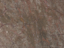 Photomicrograph of the fur detail from 'Margaret, Artist's Wife' painting by Jan van Eyck, 1439, before cleaning