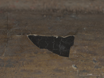 Jan van Eyck, 'Margaret, the Artist's Wife', 1439, photomicrograph of the upper frame moulding on the reverse where the redecoration has flaked from the original black paint