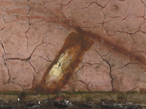 Jan van Eyck: 'Margaret, the Artist's Wife', 1439, photomicrograph of the lower edge