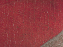 Jan van Eyck: 'Margaret, the Artist's Wife', 1439, photomicrograph showing the blotted glaze on the red dress