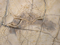 Detail from 'The Guitar Player' On loan from English Heritage, The Iveagh Bequest (Kenwood).