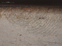 Detail from 'The Guitar Player' On loan from English Heritage, The Iveagh Bequest (Kenwood) Photomicrograph showing fingerprint impressed in the paint along the top edge.