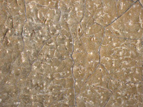 Detail from 'The Guitar Player'. On loan from English Heritage.