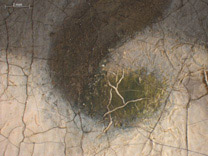 Detail from 'The Guitar Player' On loan from English Heritage, The Iveagh Bequest (Kenwood).