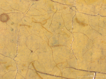 Detail from 'The Music Lesson' Royal Collection Trust. Photomicrograph showing fluff embedded in the original paint.