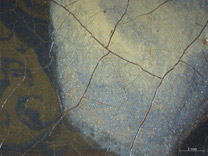 Photomicrograph detail from Johannes Vermeer, 'The Music Lesson', about 1662–3. Royal Collection Trust / © Her Majesty Queen Elizabeth II 2013