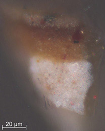Paint cross-section detail from Johannes Vermeer, 'A Young Woman seated at a Virginal', about 1670-2