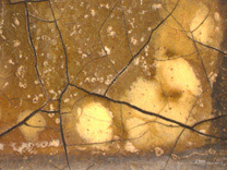 Detail from NG1383