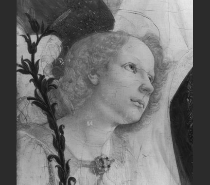 Infrared reflectogram of Andrea del Verrocchio and assistant (Lorenzo di Credi), ‘The Virgin and Child with Two Angels’, about 1476–8